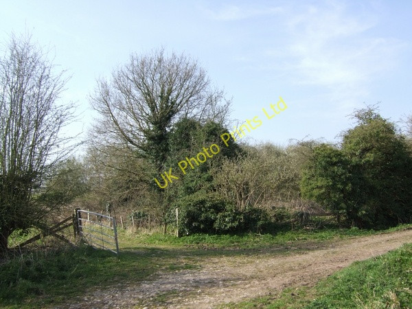 Photo 6"x4" Ruins of Hubbal Grange Shackerley c2007