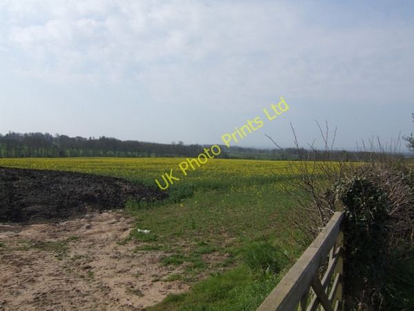 Photo 6"x4" Over the farm gate Renshaw Wood c2007