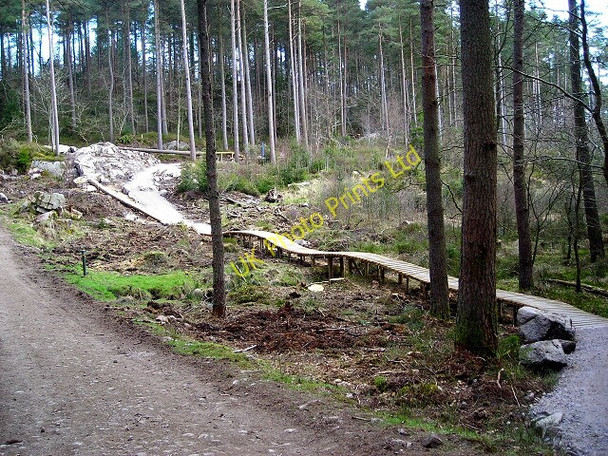 Photo 6"x4" Cycle Trail in Dalbeattie Forest Dalbeattie c2007