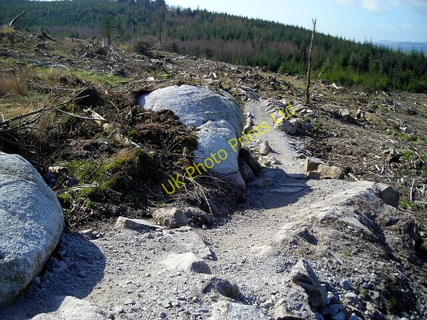 Photo 6"x4" Cycle Trail in Dalbeattie Forest Dalbeattie c2007