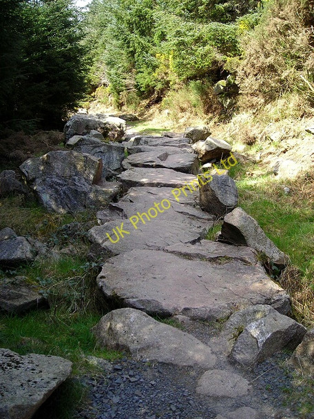 Photo 6"x4" Cycle Trail in Dalbeattie Forest Dalbeattie c2007 P2