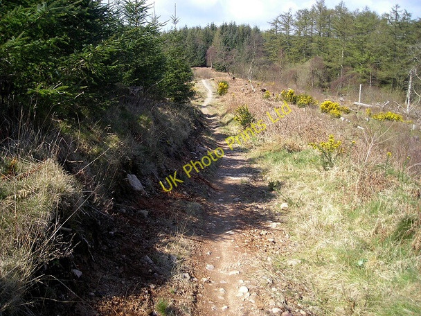 Photo 6"x4" Cycle Trail in Dalbeattie Forest Barend\/NX8855 c2007 P2