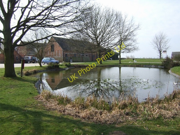 Photo 6"x4" Duck pond and car park at Boscobel House Bishops Wood c2007