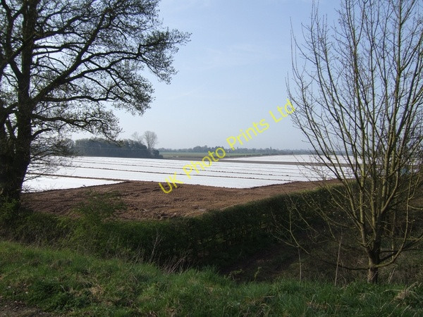 Photo 6"x4" Crops under wraps Shackerley c2007