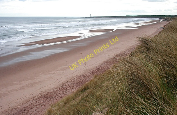 Photo 6"x4" Montrose Beach Montrose c2007 P1