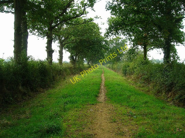 Photo 6"x4" Old lane near Chalvington Burgh Hill\/TQ5412 c2005