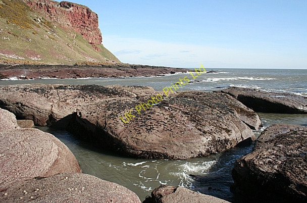 Photo 6"x4" Cuthile Harbour Auchmithie c2007