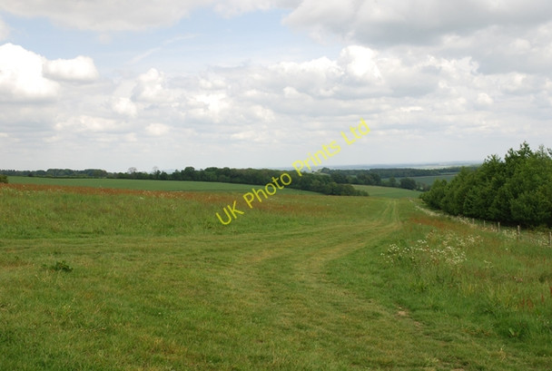 Photo 6"x4" Heading across South Down Turnworth c2007