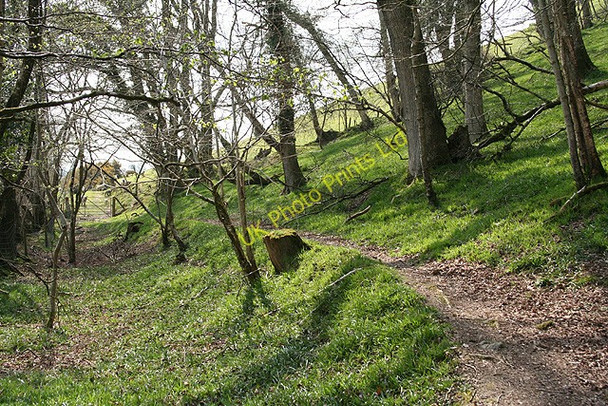 Photo 6"x4" South Molton: Underhill Wood South Molton c2007