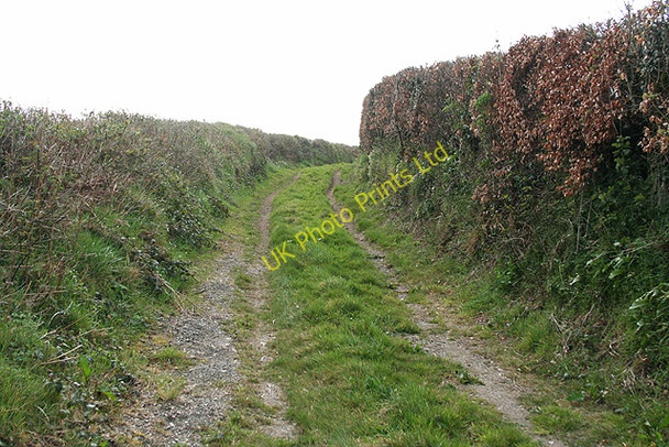 Photo 6"x4" George Nympton: field access track South Molton c2007