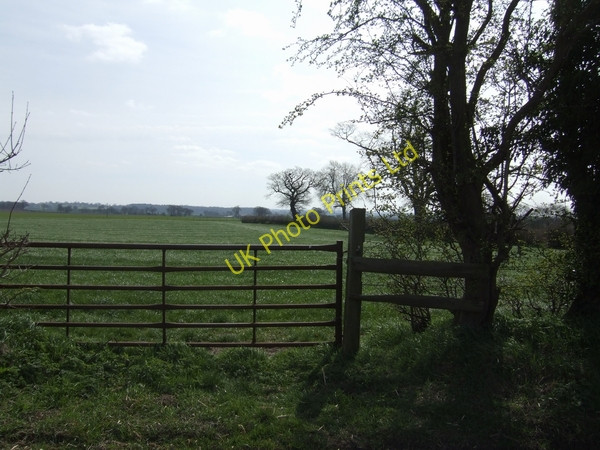 Photo 6"x4" Course of Roman Road Bromstead Common c2007