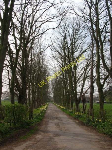 Photo 6"x4" Bolton Hall Farm Spittal\/SE7652 c2007
