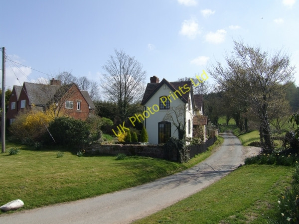 Photo 6"x4" The road to Rudge Hall Rudge\/SO8197 c2007