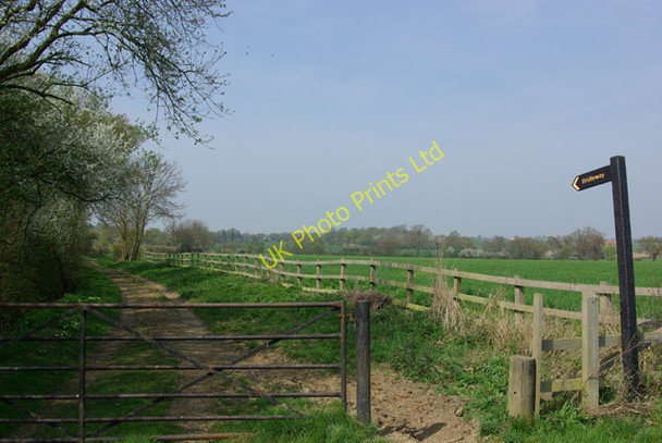 Photo 6"x4" Bridleway to Roffey Bishops Green c2007