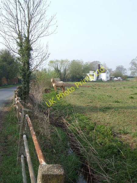 Photo 6"x4" Allimore Brook Allimore Green c2007