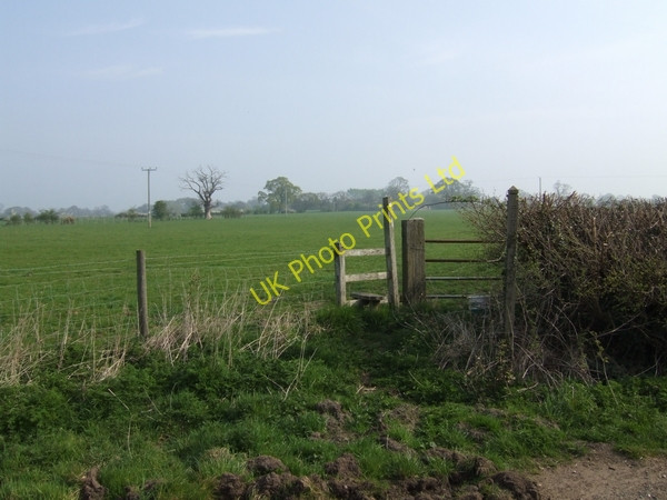 Photo 6"x4" Footpath to Bradley Bradley\/SJ8817 c2007