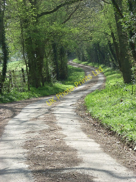 Photo 6"x4" Holt Lane, Tangley Tangley c2007