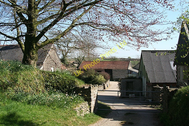 Photo 6"x4" West Buckland: Whitsford Gunn c2007