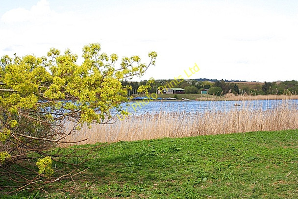 Photo 6"x4" Forfar Loch Forfar c2007