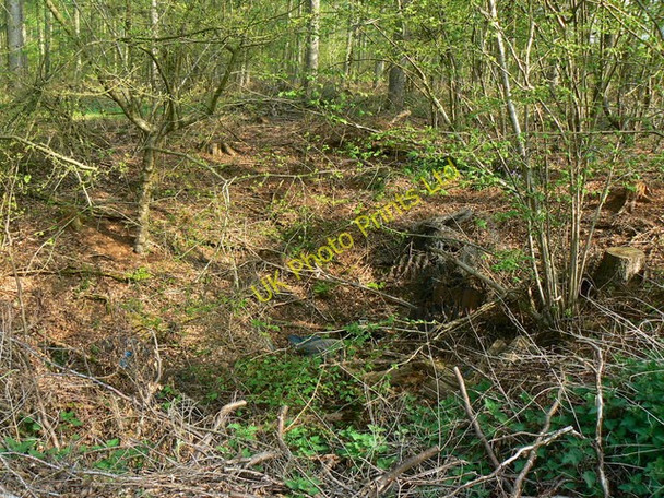 Photo 6"x4" Possible bomb crater, Hen's Wood near Marlborough Axford\/SU2369 c2007