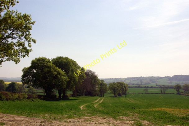 Photo 6"x4" View south from Brook Street Brook Street\/TQ9333 c2007