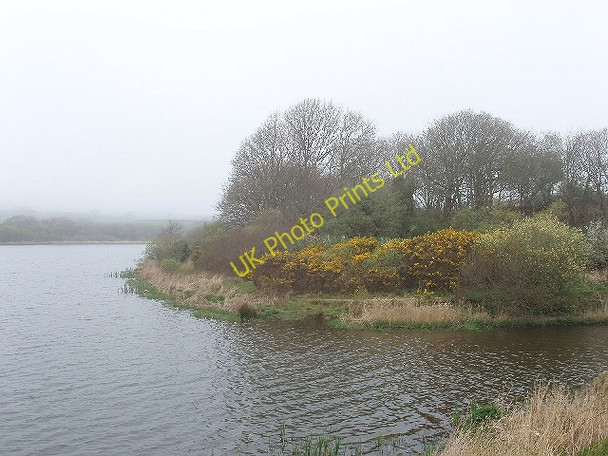 Photo 6"x4" Lower Tamar Lake Alfardisworthy c2007