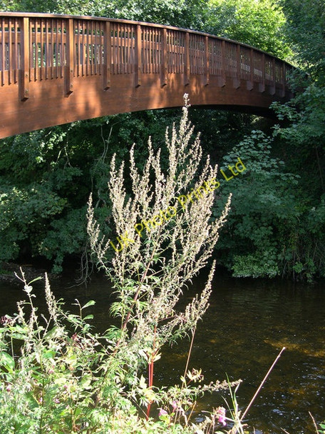 Photo 6"x4" Bridge over the river Otter North Star c2004