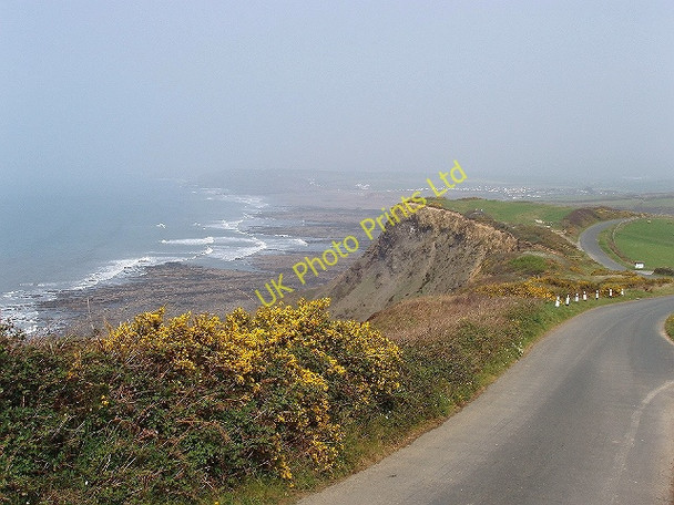 Photo 6"x4" Road and gorse, Penhalt Cliff Wanson c2007
