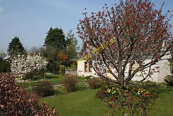 Photo 6"x4" Cottage Garden Crofts of Dipple c2007