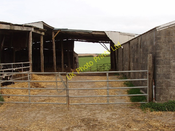Photo 6"x4" Cattle shed, Edslee Farm Woodford\/SS2113 c2007