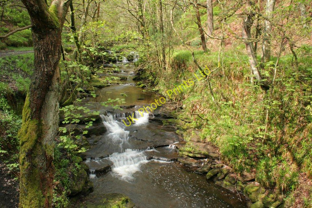 Photo 6"x4" Colden Water Hebden Bridge c2007