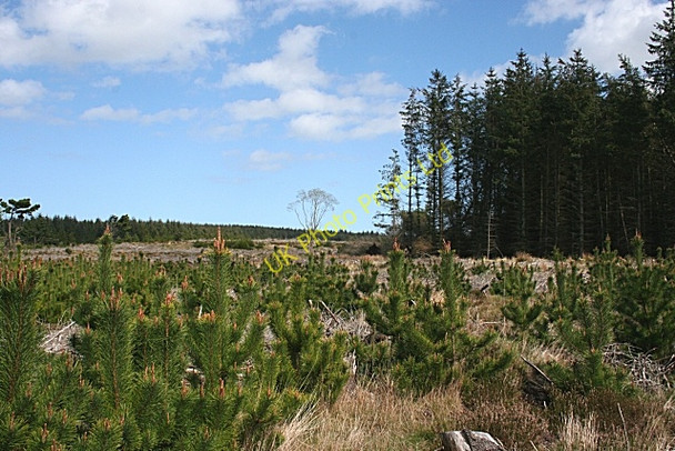 Photo 6"x4" Plaiding Knowe Grange Crossroads c2007