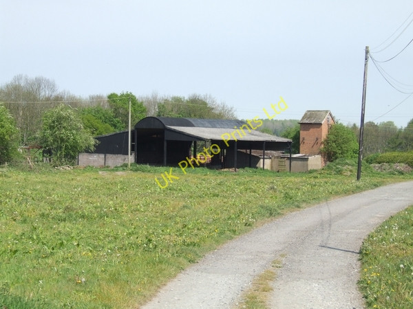 Photo 6"x4" Barns near Colemore Farm Colemore Green c2007