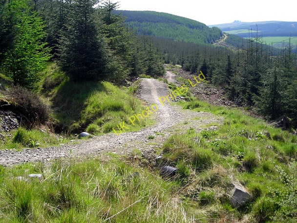 Photo 6"x4" Ae Line Cycle Trail in Forest of Ae Ae c2007