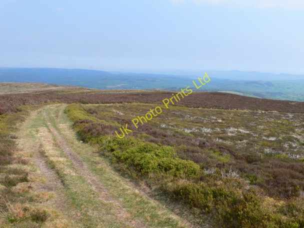 Photo 6"x4" Footpath - Corwen to Cynwyd Corwen c2007