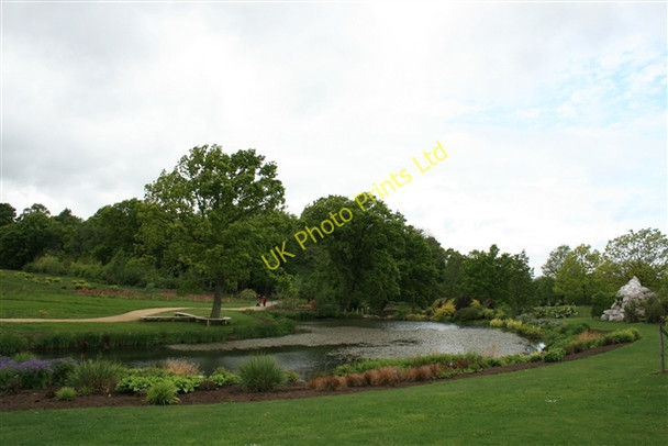 Photo 6"x4" Queen Mother's Lake, RHS Harlow Carr Harrogate c2007
