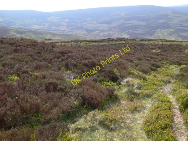 Photo 6"x4" Berwyn moorland Carrog\/SJ1043 c2007