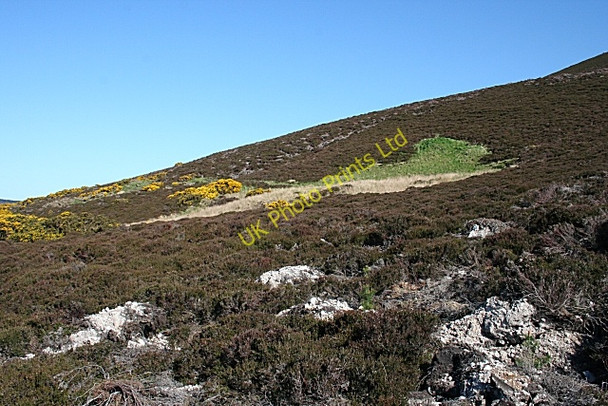 Photo 6"x4" Knock Hill Knockbog c2007