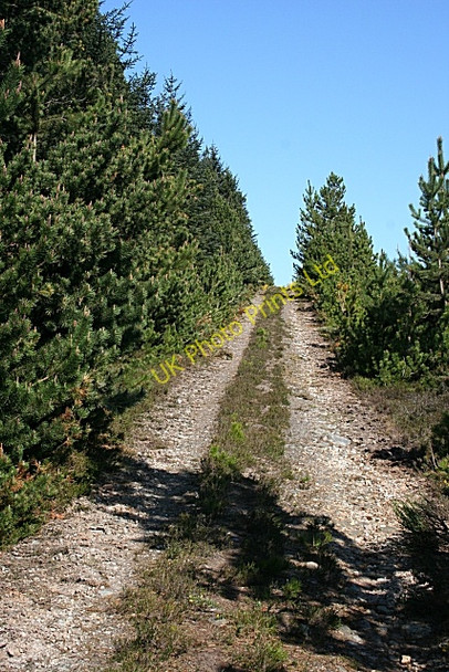 Photo 6"x4" Hill of Inverkindling Berryhillock\/NJ5060 c2007