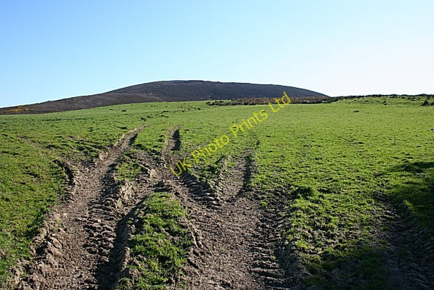 Photo 6"x4" Barnyards of Badenyouchers Knockbog c2007