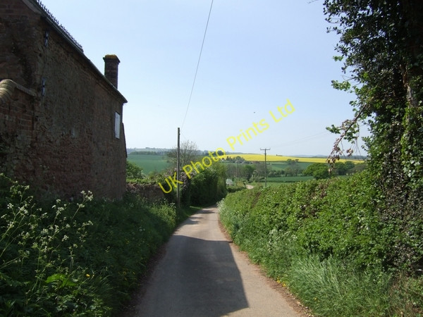 Photo 6"x4" Bridleway at Cross Lane Head Bridgnorth c2007