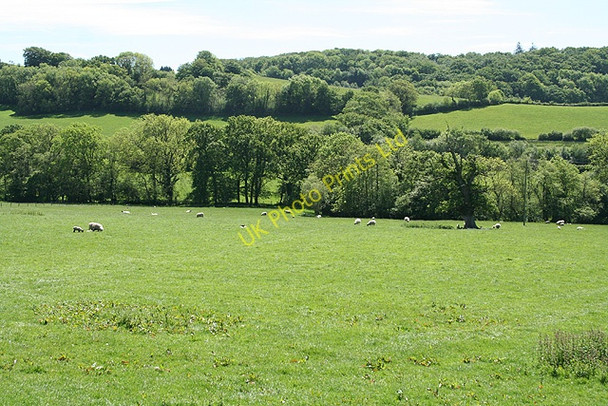 Photo 6"x4" Swimbridge: near Yeoland House Riverton c2007