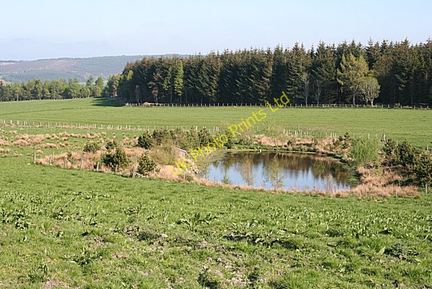 Photo 6"x4" Backhill of Kininvie Balvenie c2007