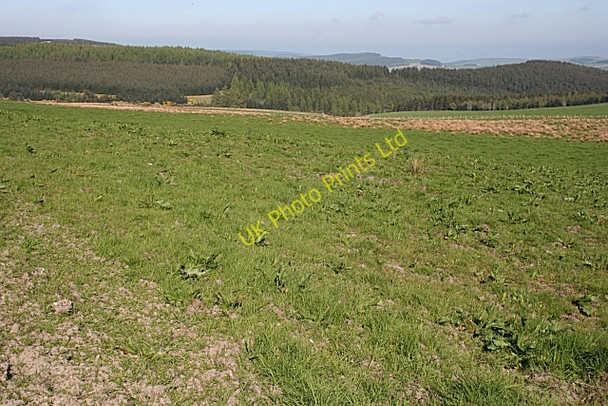 Photo 6"x4" Backhill of Kininvie Balvenie c2007 P1