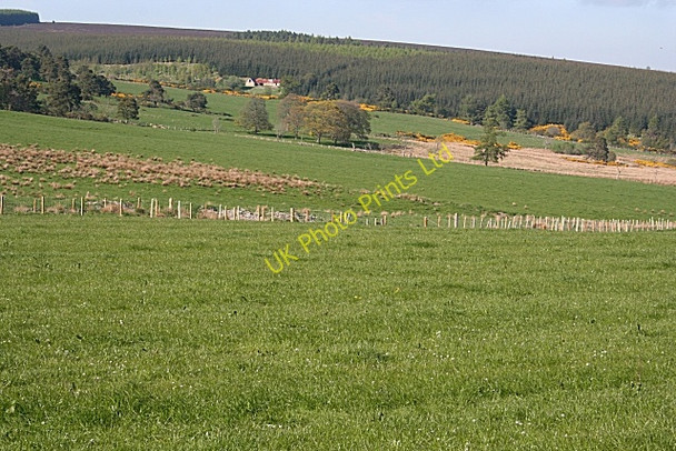 Photo 6"x4" Backhill of Kininvie Balvenie c2007 P3