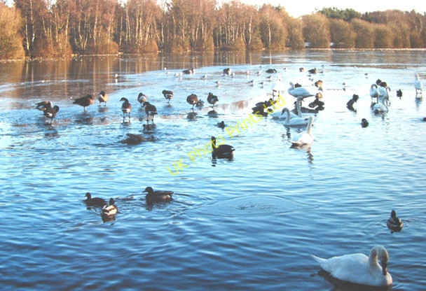 Photo 6"x4" The thaw sets in at Shakerley Mere Allostock c2006