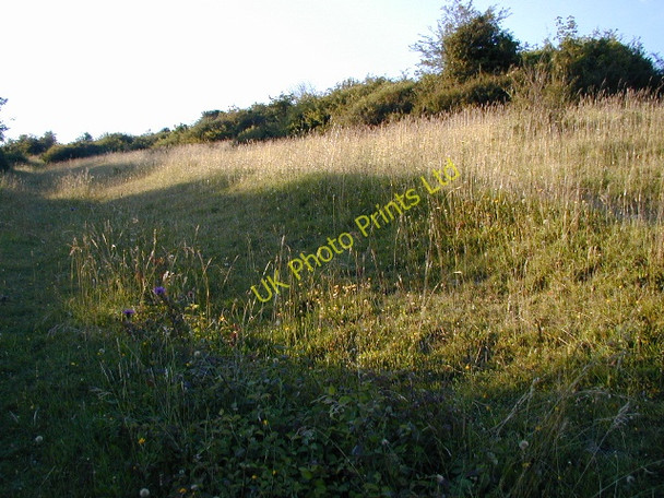 Photo 6"x4" Portsdown Hill Cosham c2002