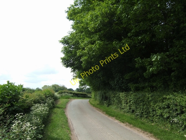 Photo 6"x4" The corner of High Onn Wood High Onn c2007