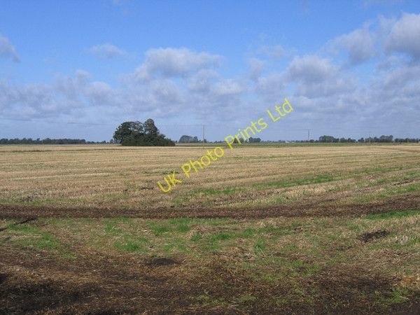 Photo 6"x4" Little Tower's Fen, Thorney Cambs Nene Terrace c2005