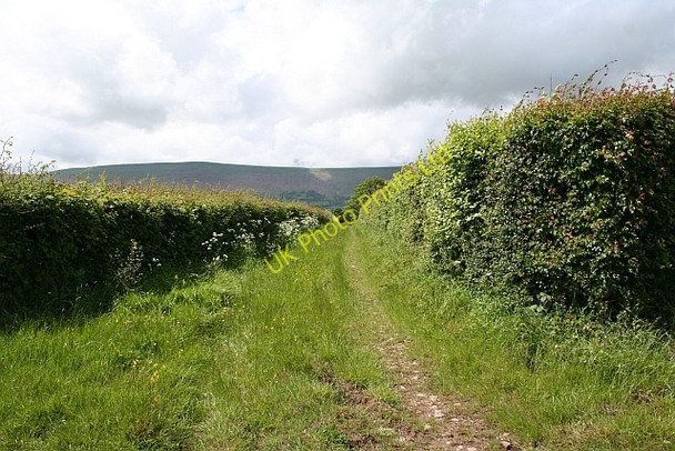 Photo 6"x4" Old Track to Llanwonog Farm Longtown\/SO3228 c2007